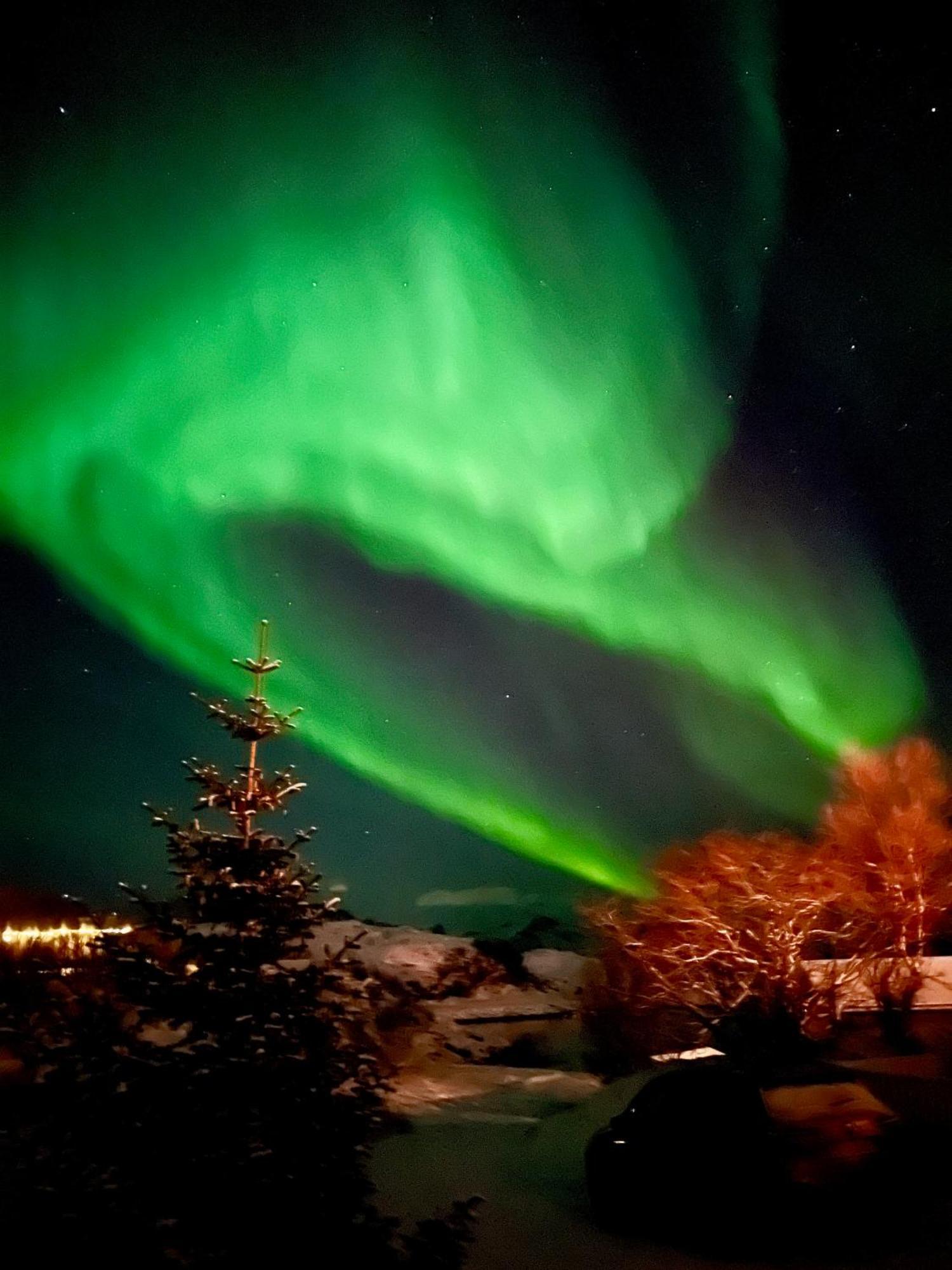 Brensholmen Beach House Tromso Ngoại thất bức ảnh
